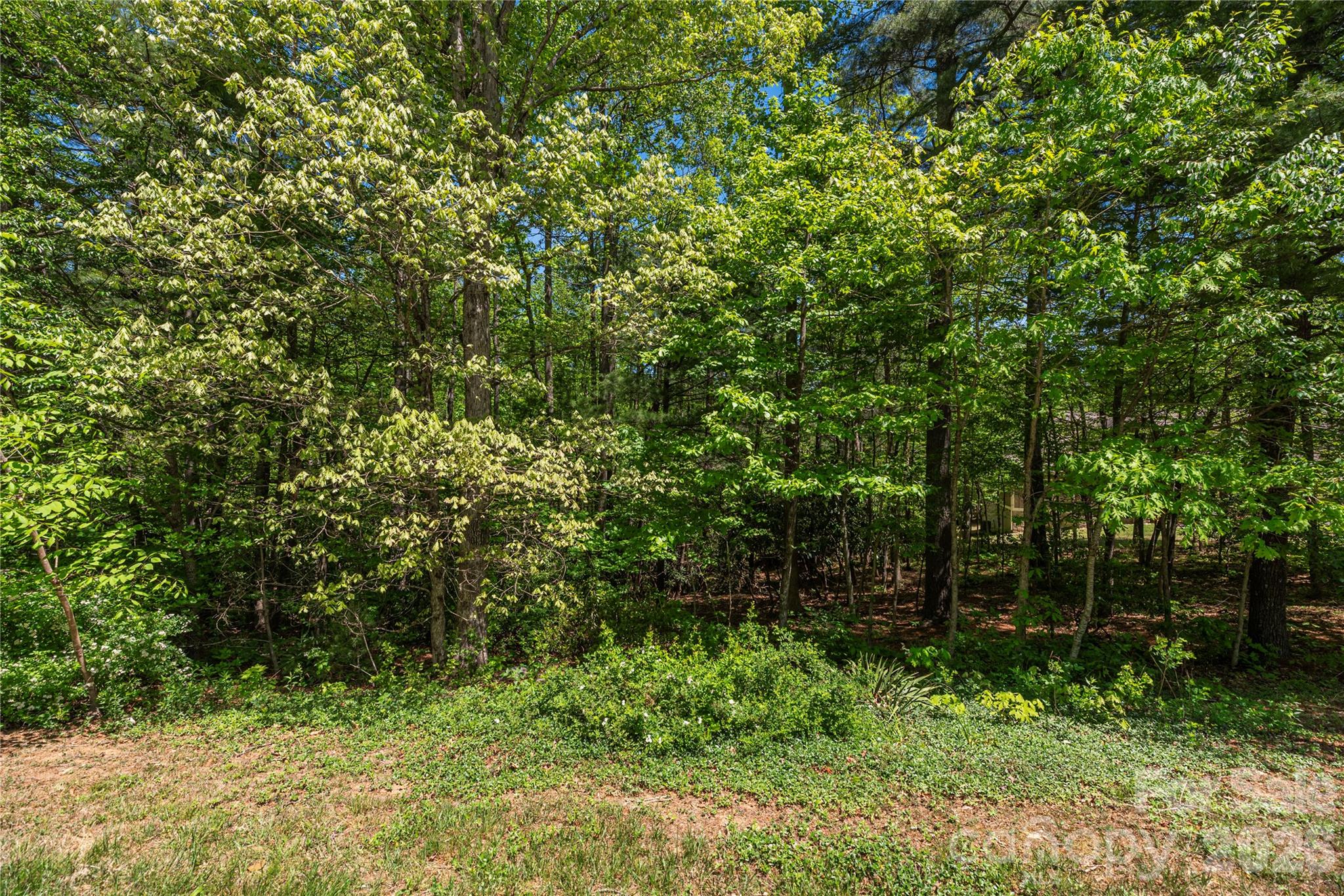 305 Freedom Trail Court Zirconia NC 28790