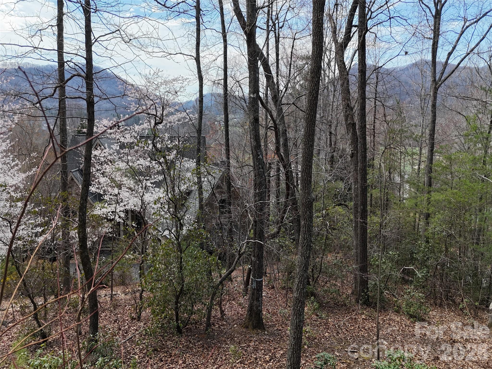 709 Craggyside Lane Arden NC 28704