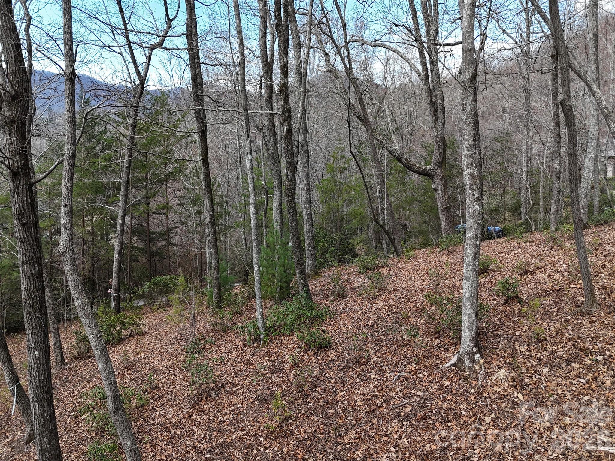 709 Craggyside Lane Arden NC 28704