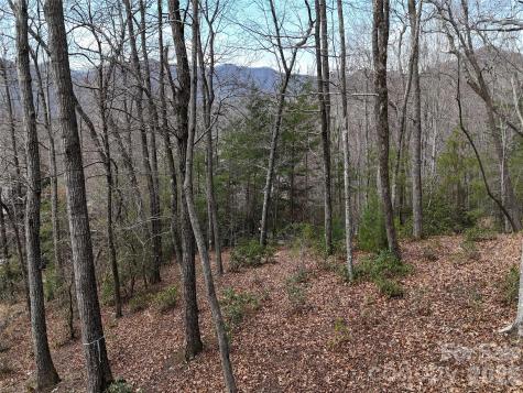 709 Craggyside Lane Arden NC 28704