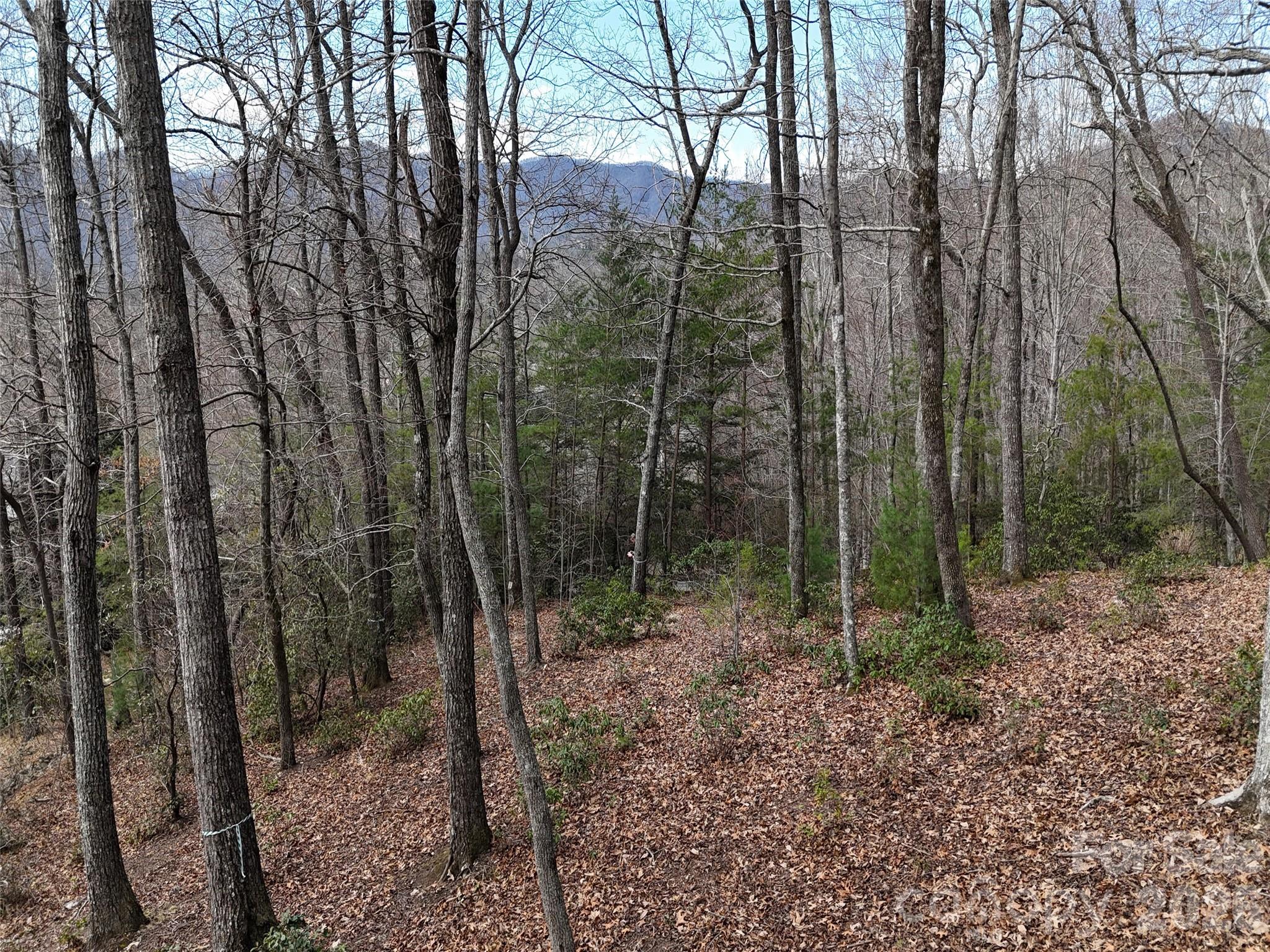 709 Craggyside Lane Arden NC 28704