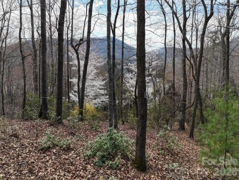 709 Craggyside Lane Arden NC 28704