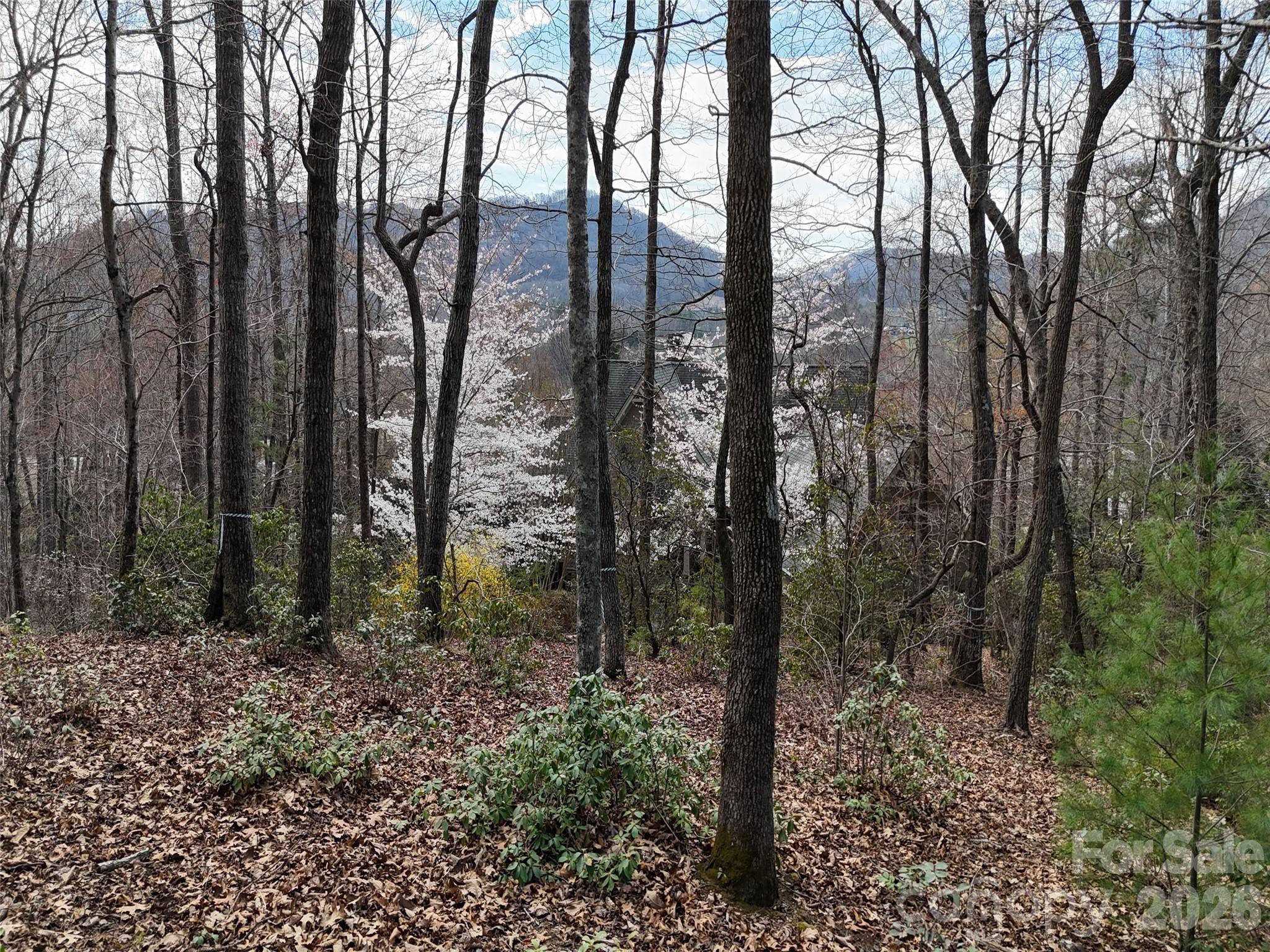 709 Craggyside Lane Arden NC 28704
