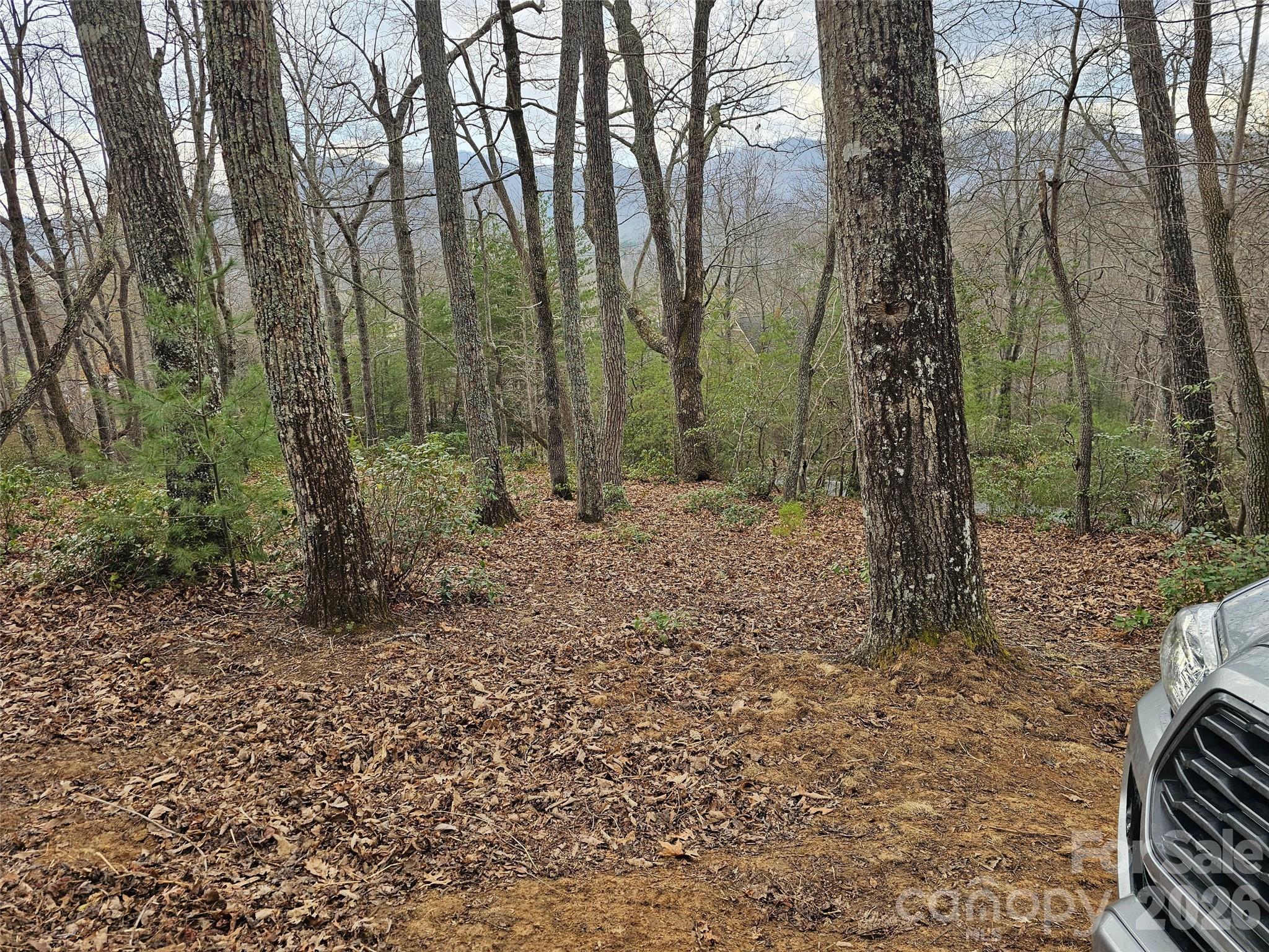 709 Craggyside Lane Arden NC 28704