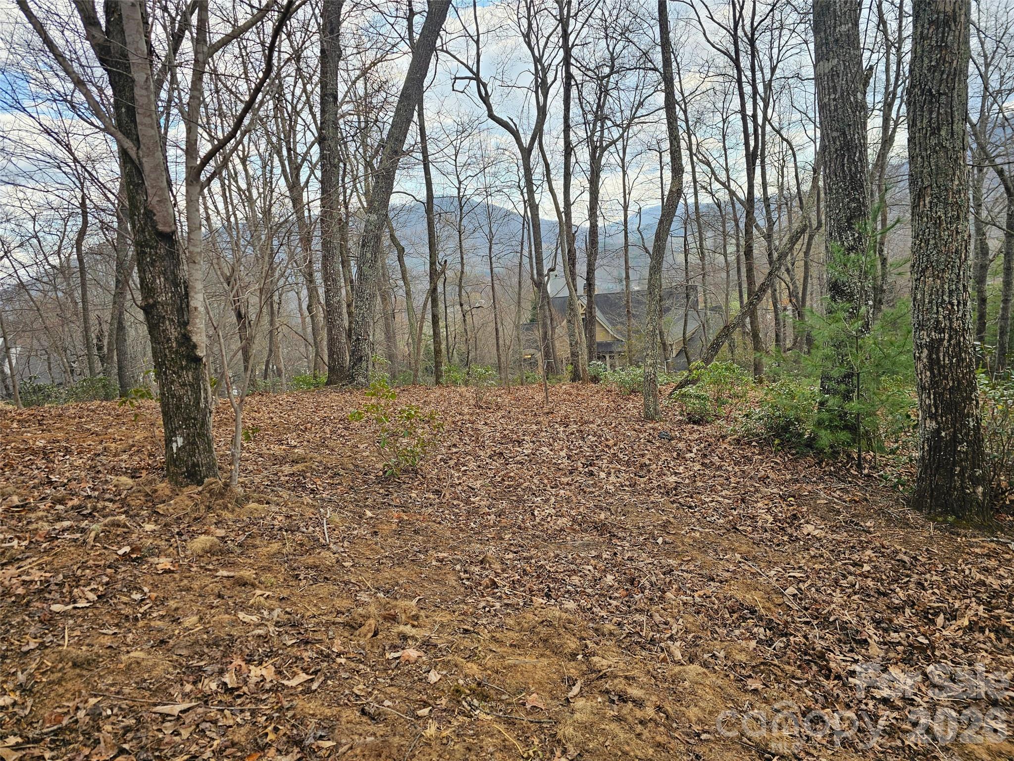 709 Craggyside Lane Arden NC 28704