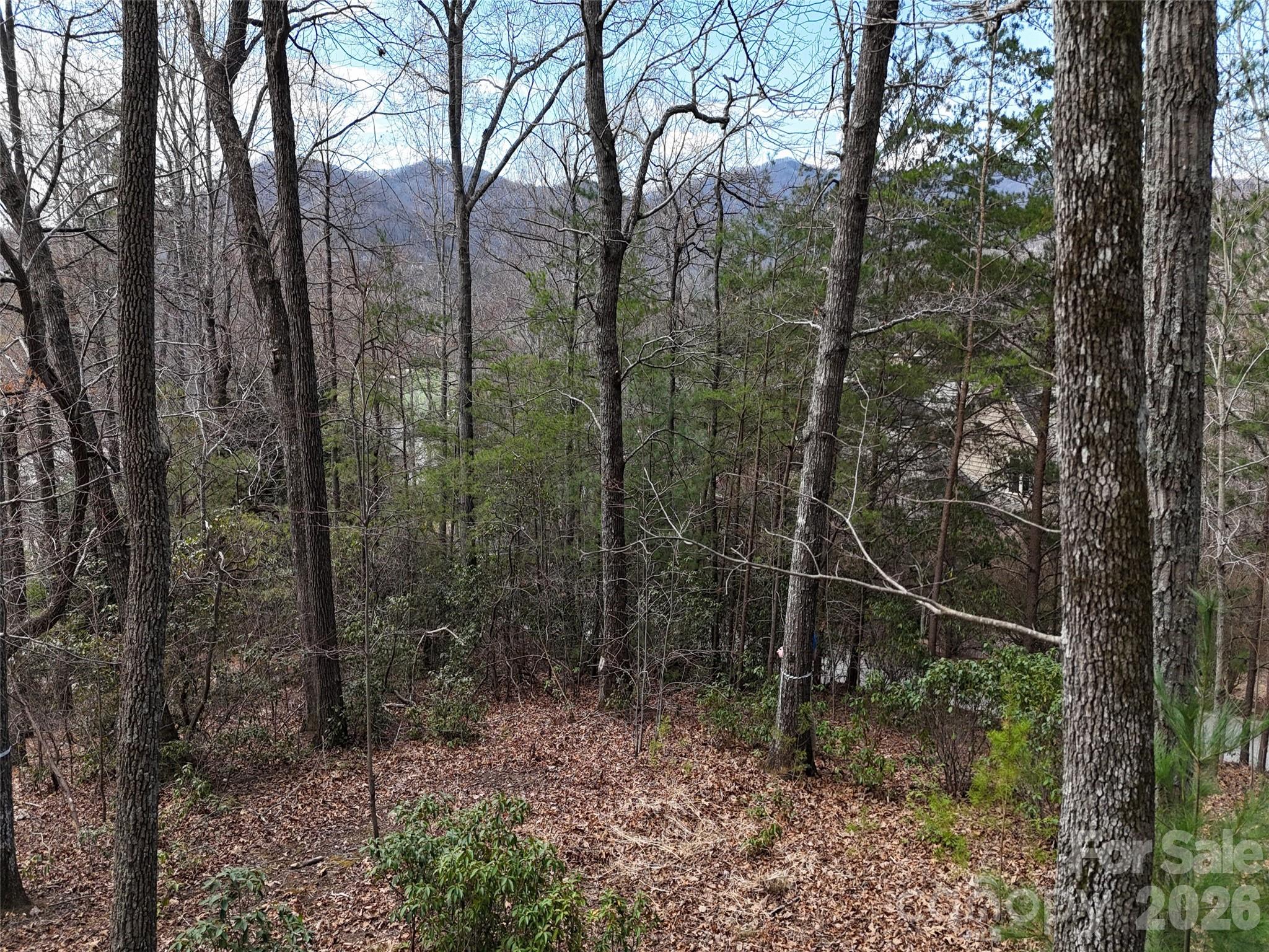 709 Craggyside Lane Arden NC 28704