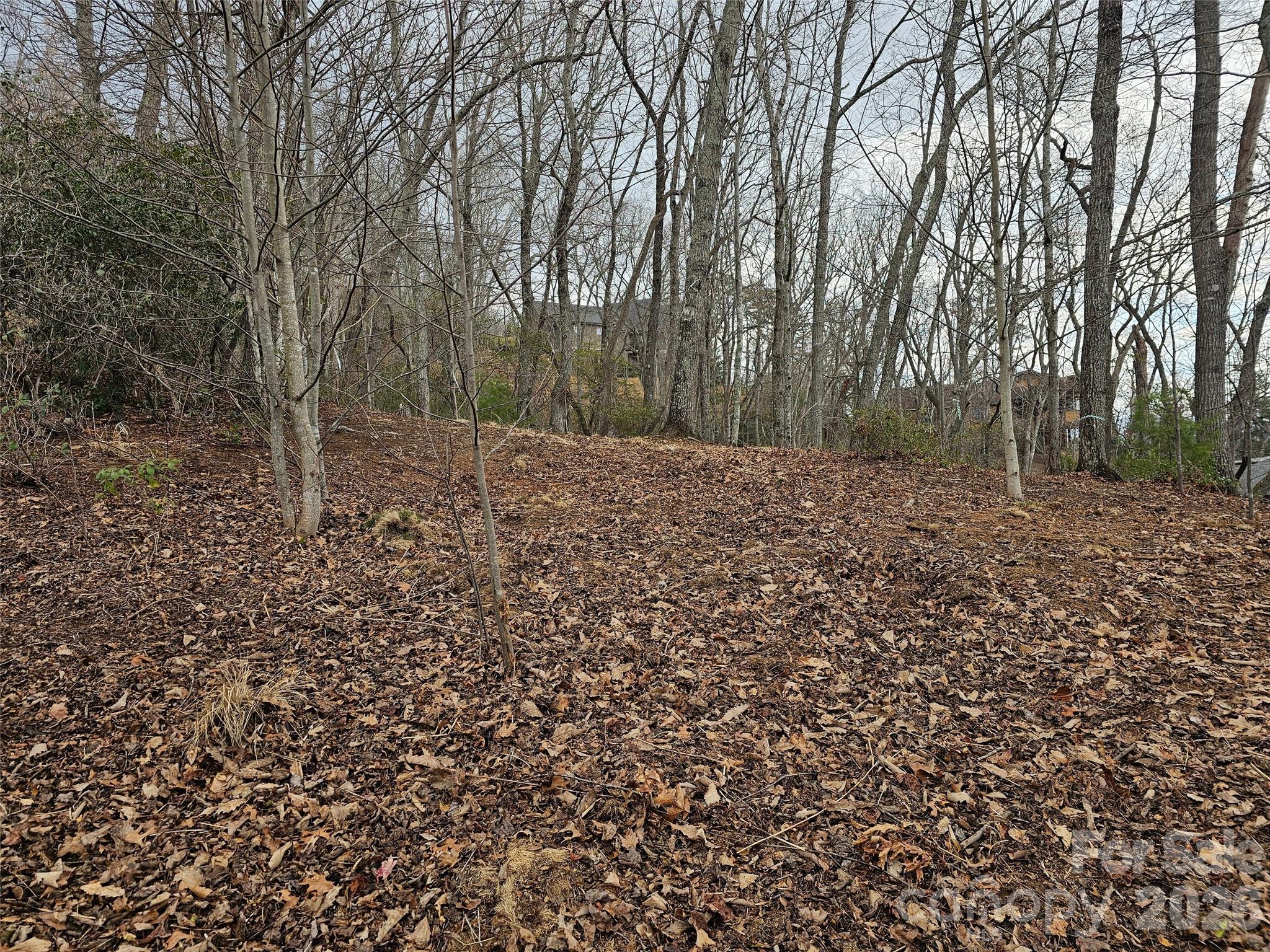 709 Craggyside Lane Arden NC 28704