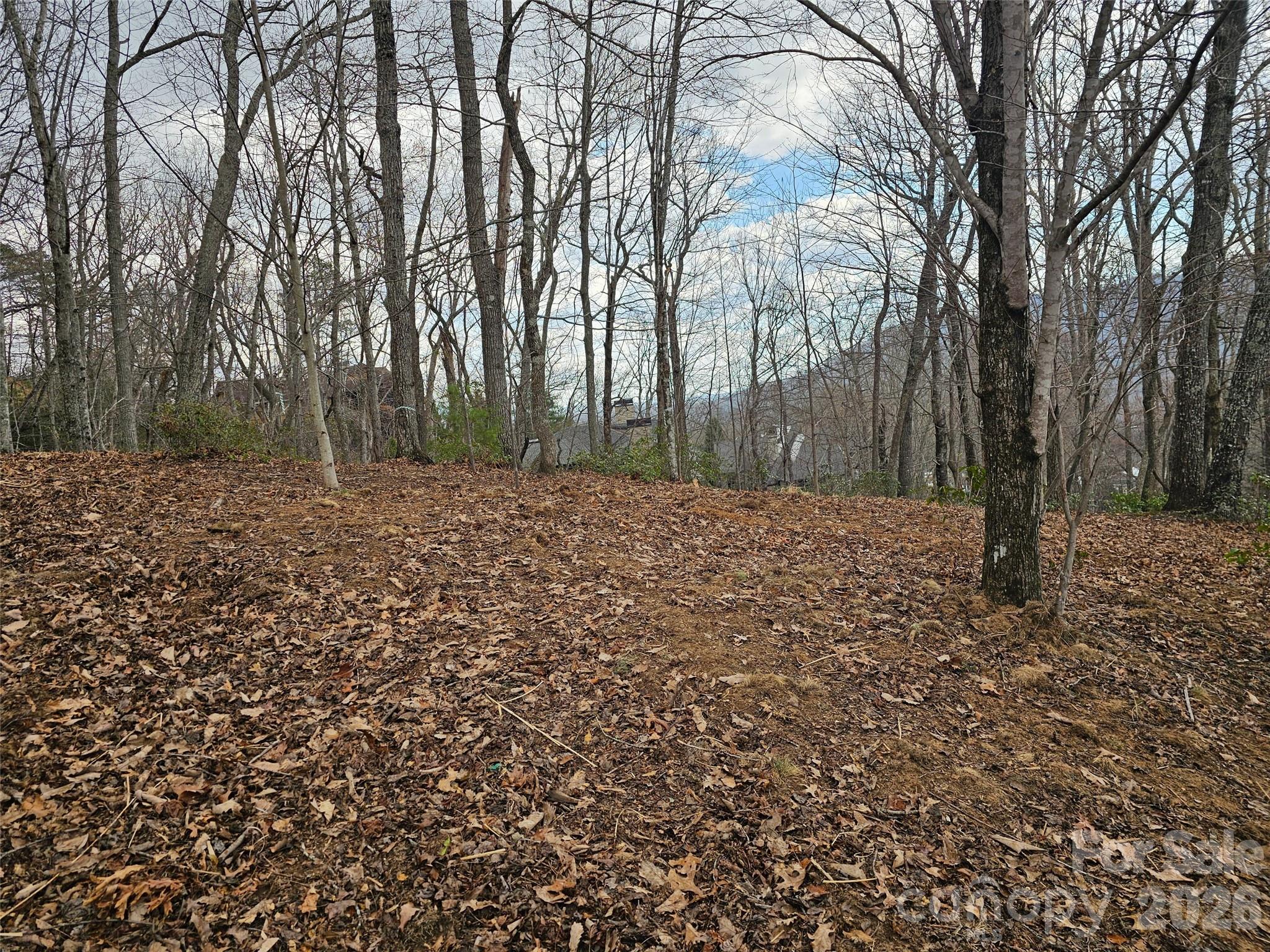 709 Craggyside Lane Arden NC 28704