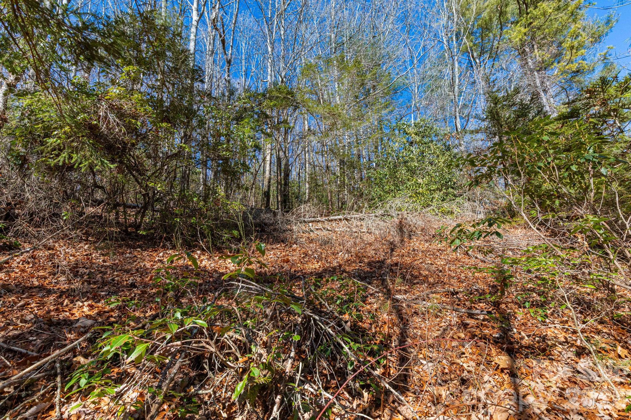 999 Flat Creek Valley Road Lake Toxaway NC 28747