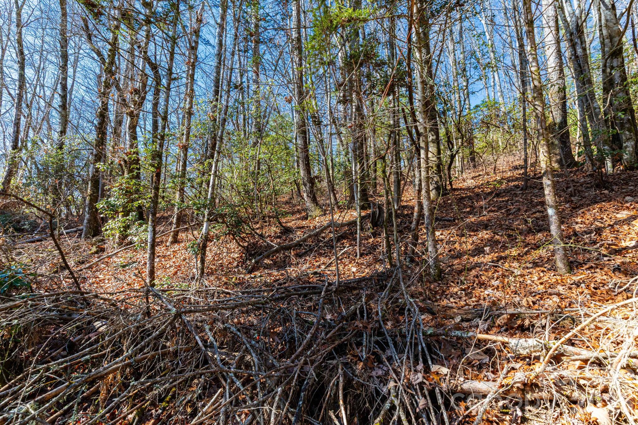 999 Flat Creek Valley Road Lake Toxaway NC 28747