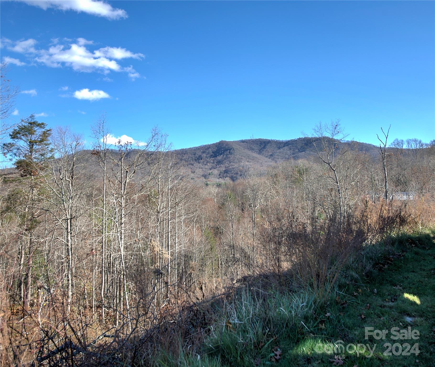 0 Arrowhead Ridge Road Spruce Pine NC 28777