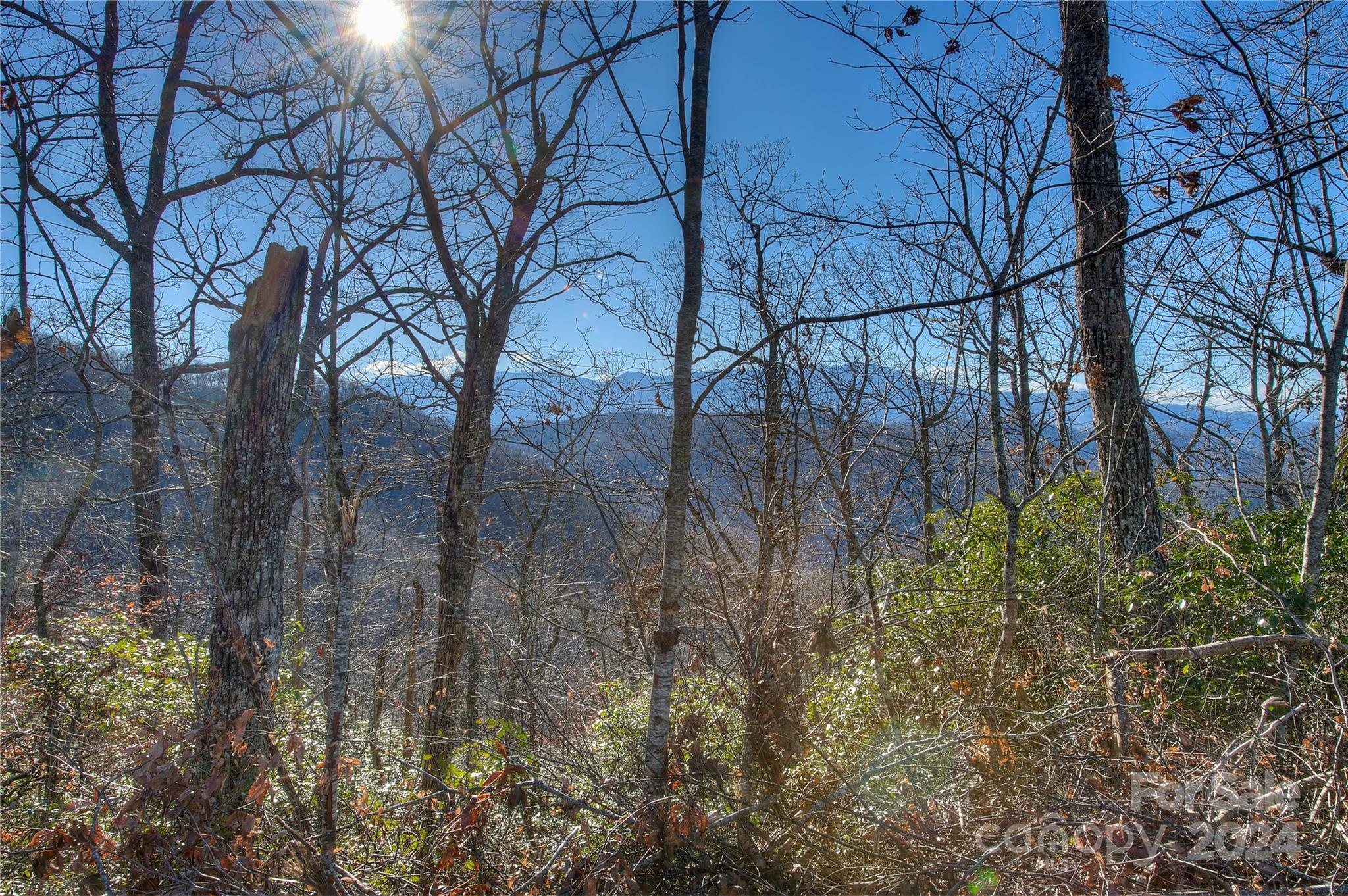 0 Arrowhead Ridge Road Spruce Pine NC 28777