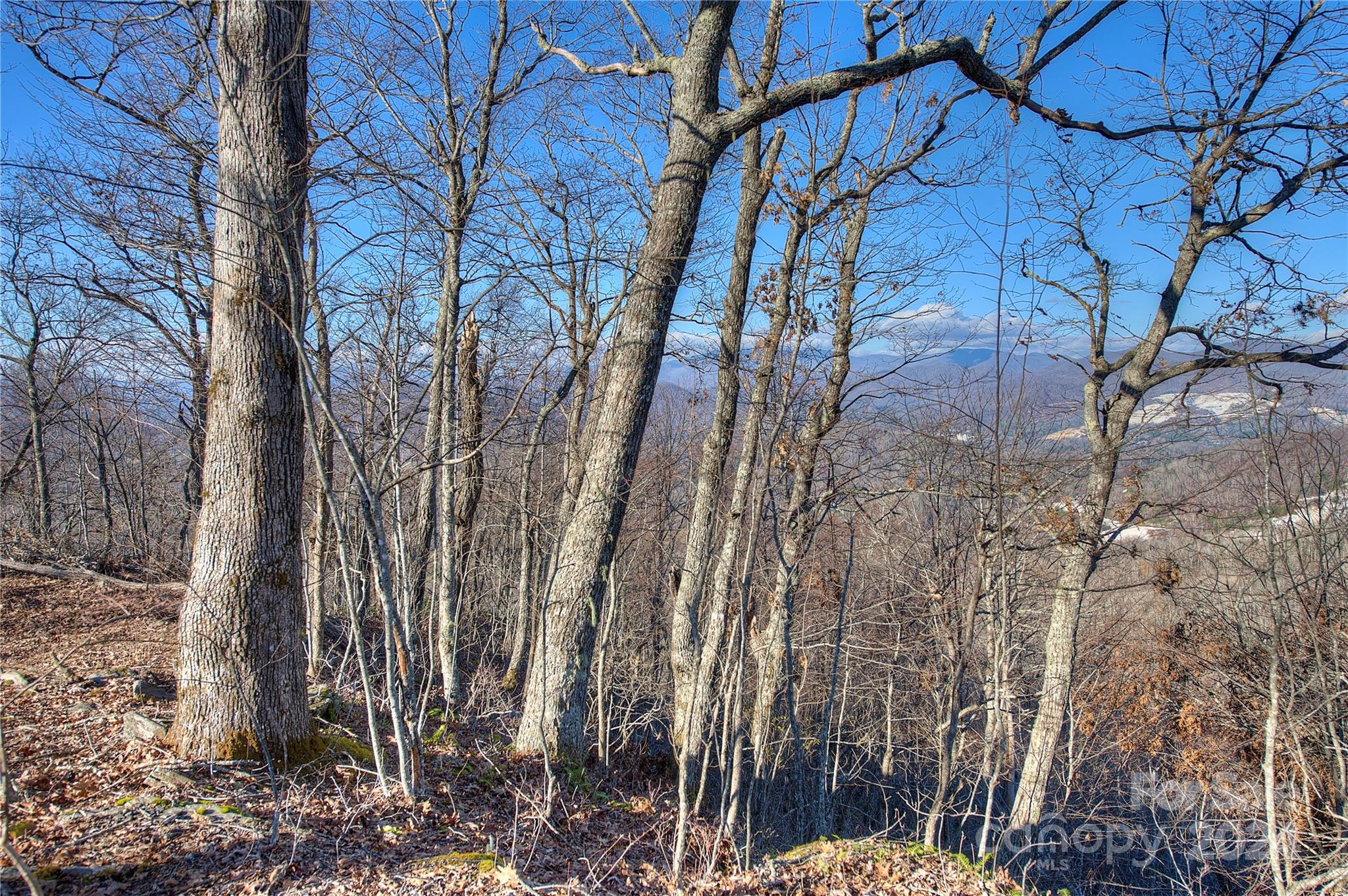 0 Arrowhead Ridge Road Spruce Pine NC 28777