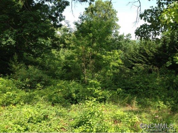 162 Gashes Creek Road Asheville NC 28805