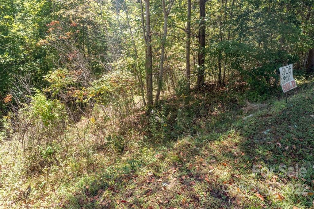 00 Rock Ledge Drive Lake Lure NC 28746