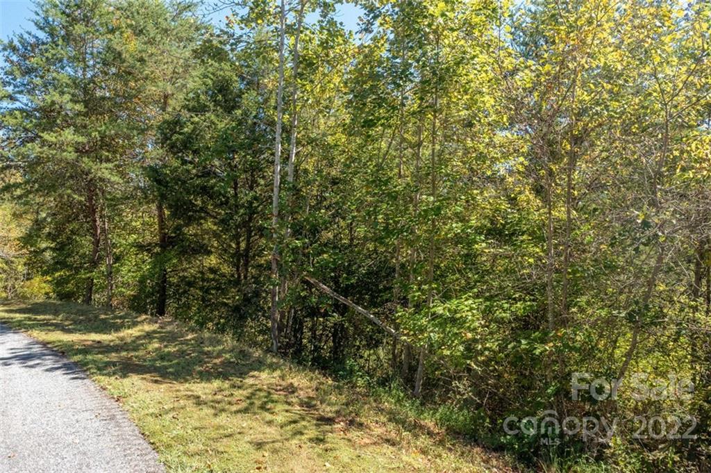 00 Rock Ledge Drive Lake Lure NC 28746