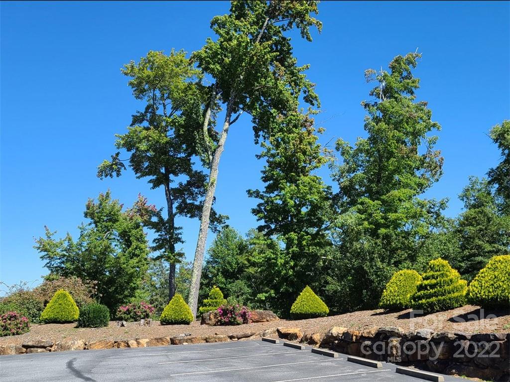 00 Rock Ledge Drive Lake Lure NC 28746