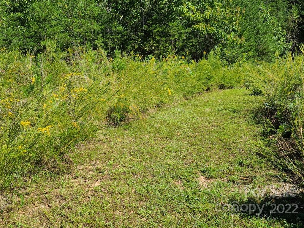 00 Rock Ledge Drive Lake Lure NC 28746