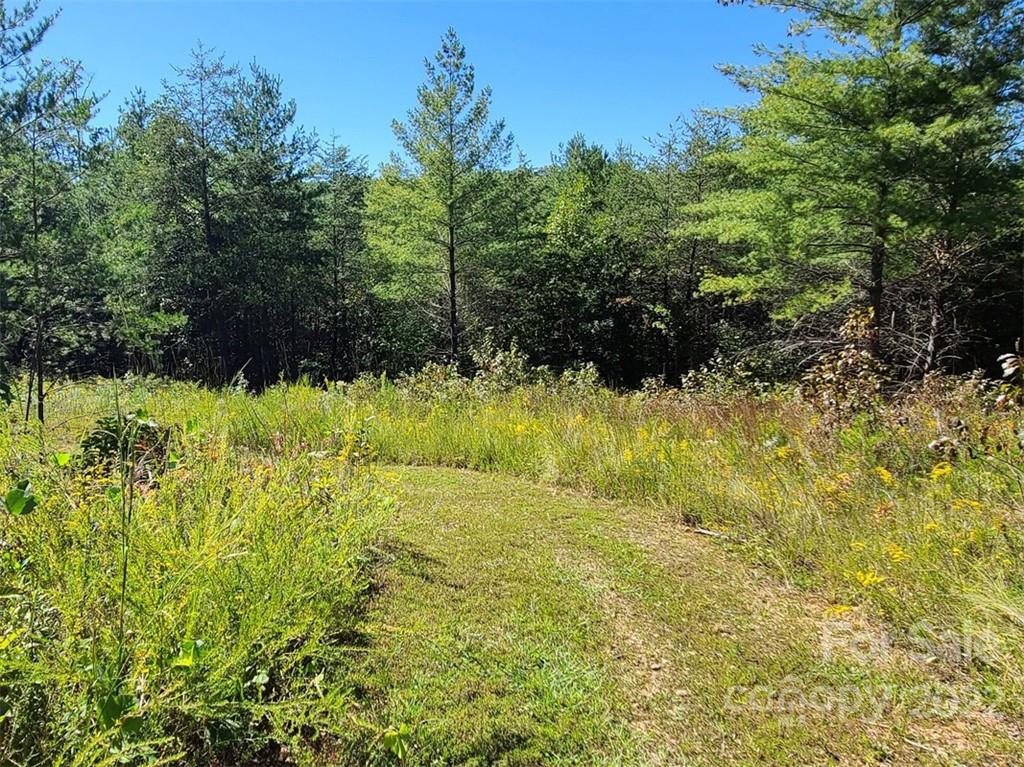 00 Rock Ledge Drive Lake Lure NC 28746