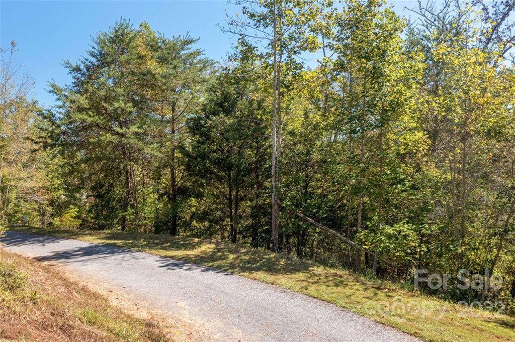 00 Rock Ledge Drive Lake Lure NC 28746
