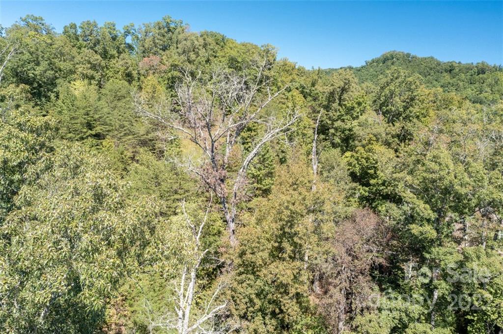 00 Rock Ledge Drive Lake Lure NC 28746