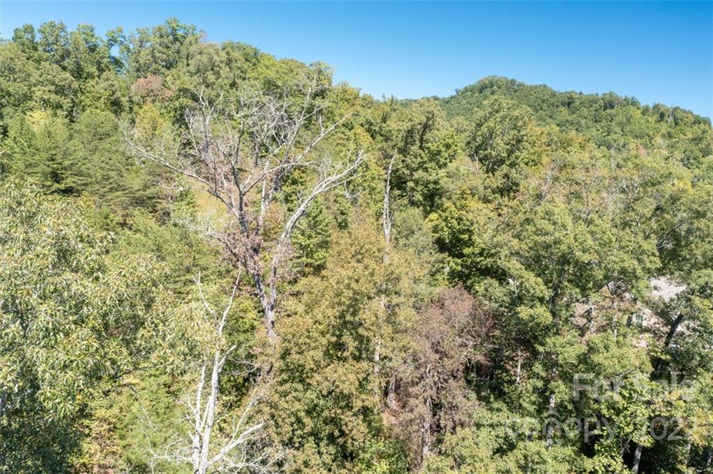 00 Rock Ledge Drive Lake Lure NC 28746