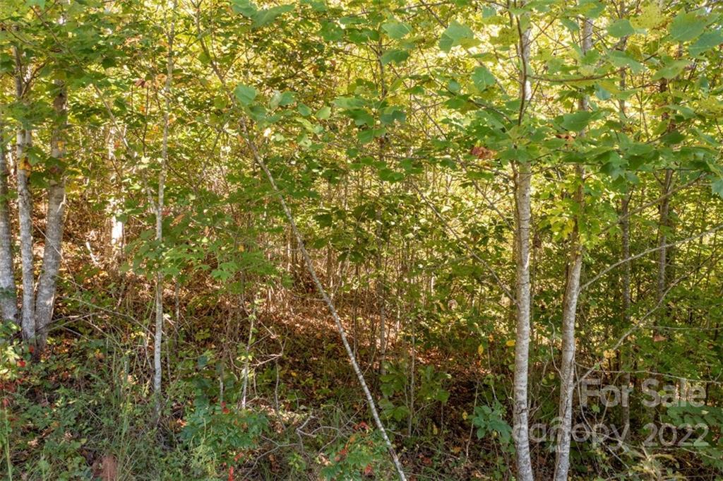 00 Rock Ledge Drive Lake Lure NC 28746