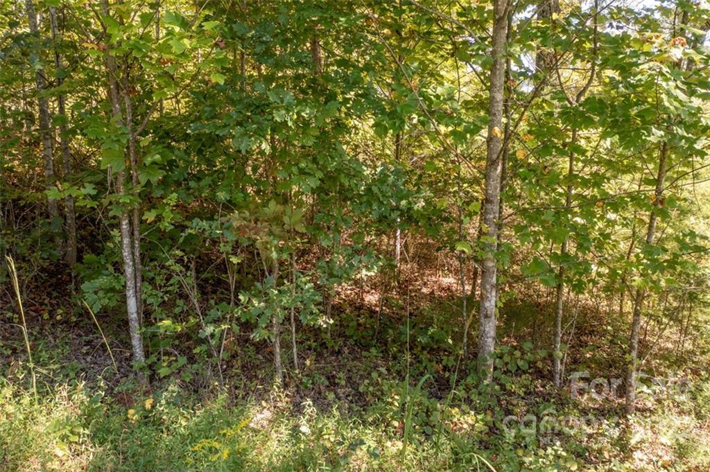 00 Rock Ledge Drive Lake Lure NC 28746