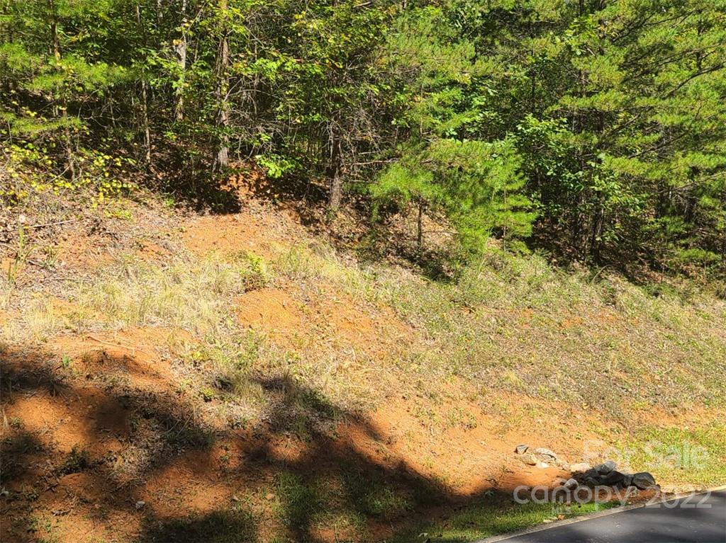 00 Rock Ledge Drive Lake Lure NC 28746