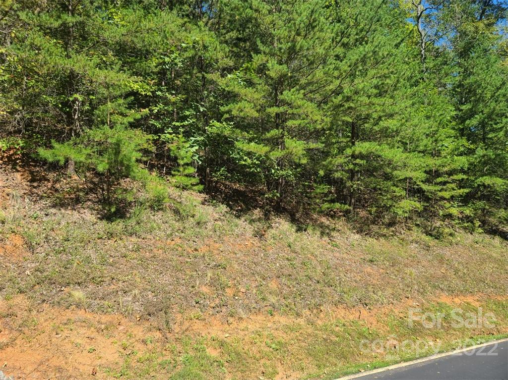 00 Rock Ledge Drive Lake Lure NC 28746