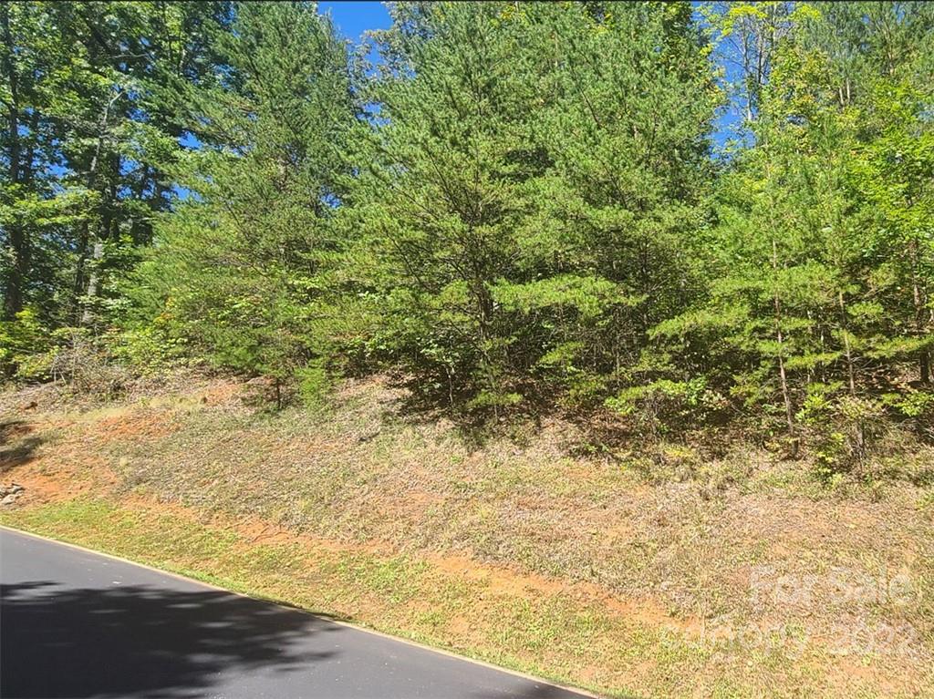 00 Rock Ledge Drive Lake Lure NC 28746