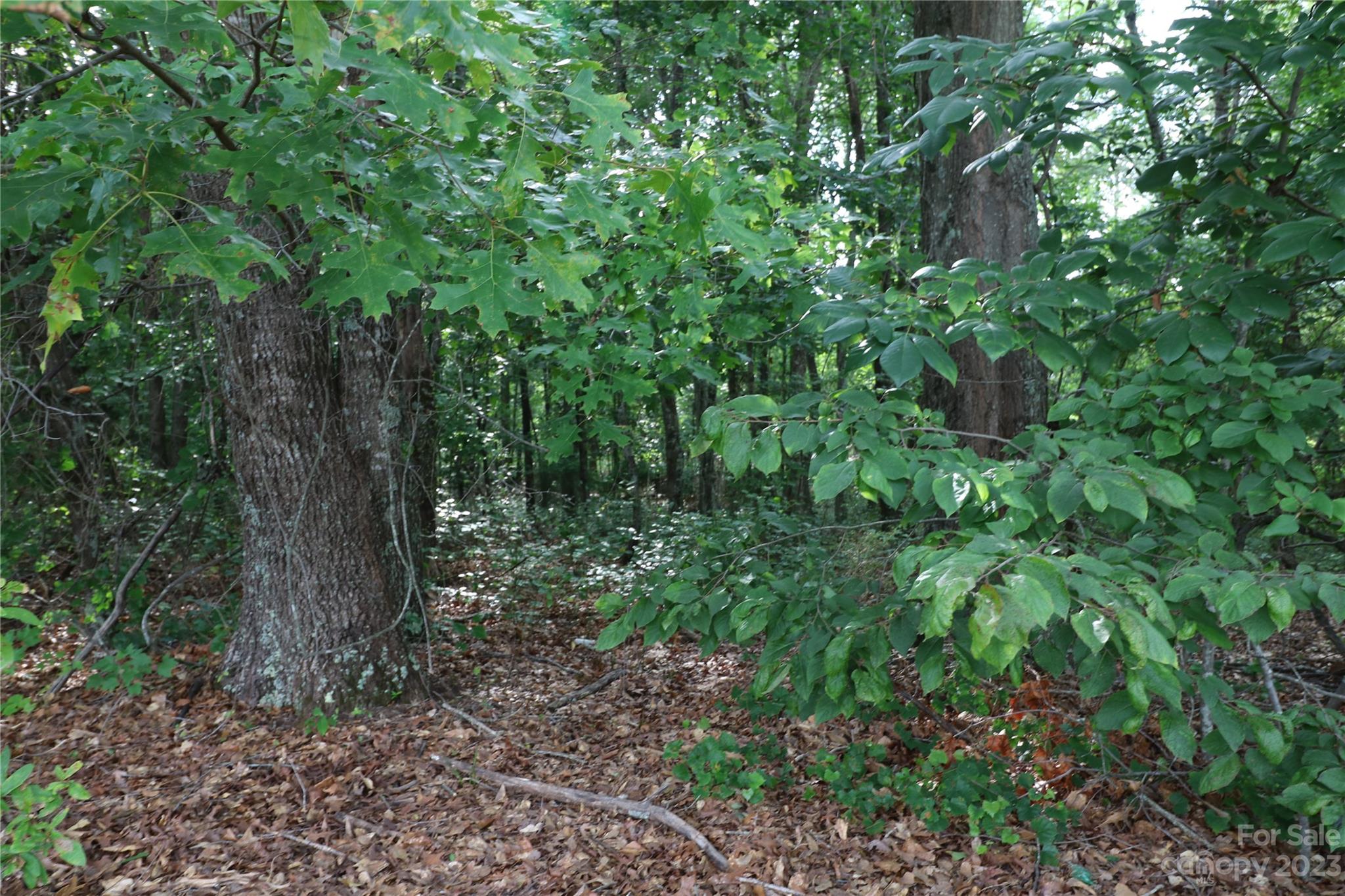 Lot 23 Commercial Drive Forest City NC 28043