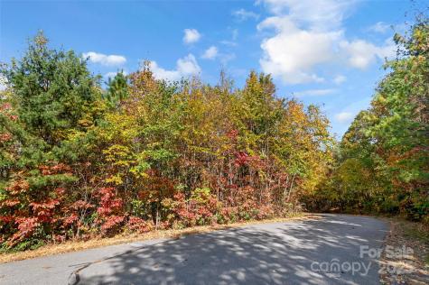 38 Attica Falls Trail Black Mountain NC 28711