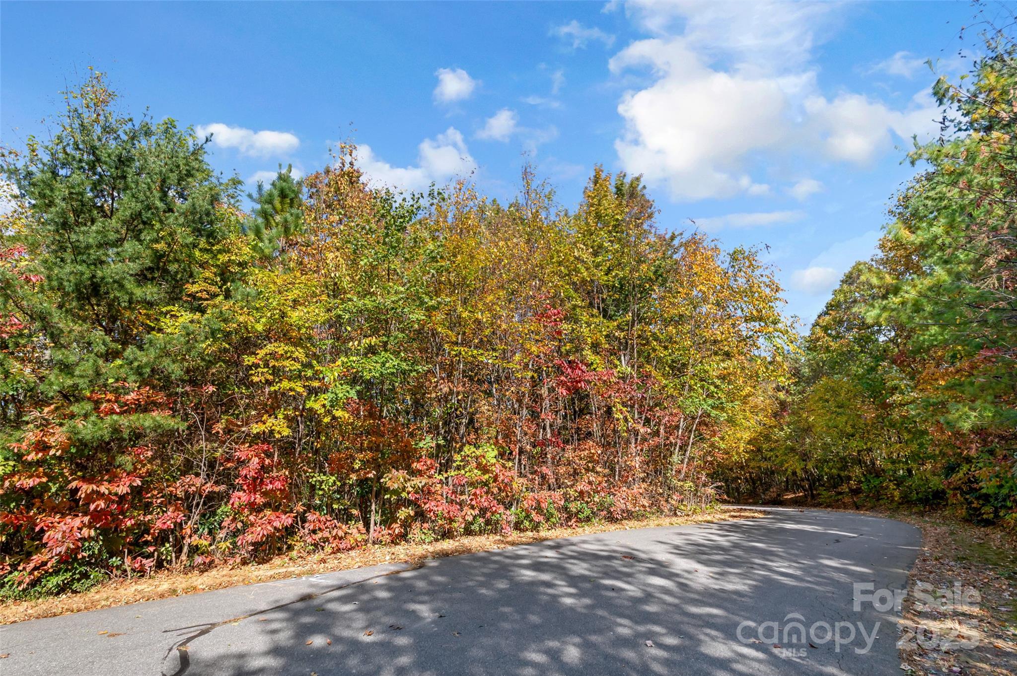 38 Attica Falls Trail Black Mountain NC 28711
