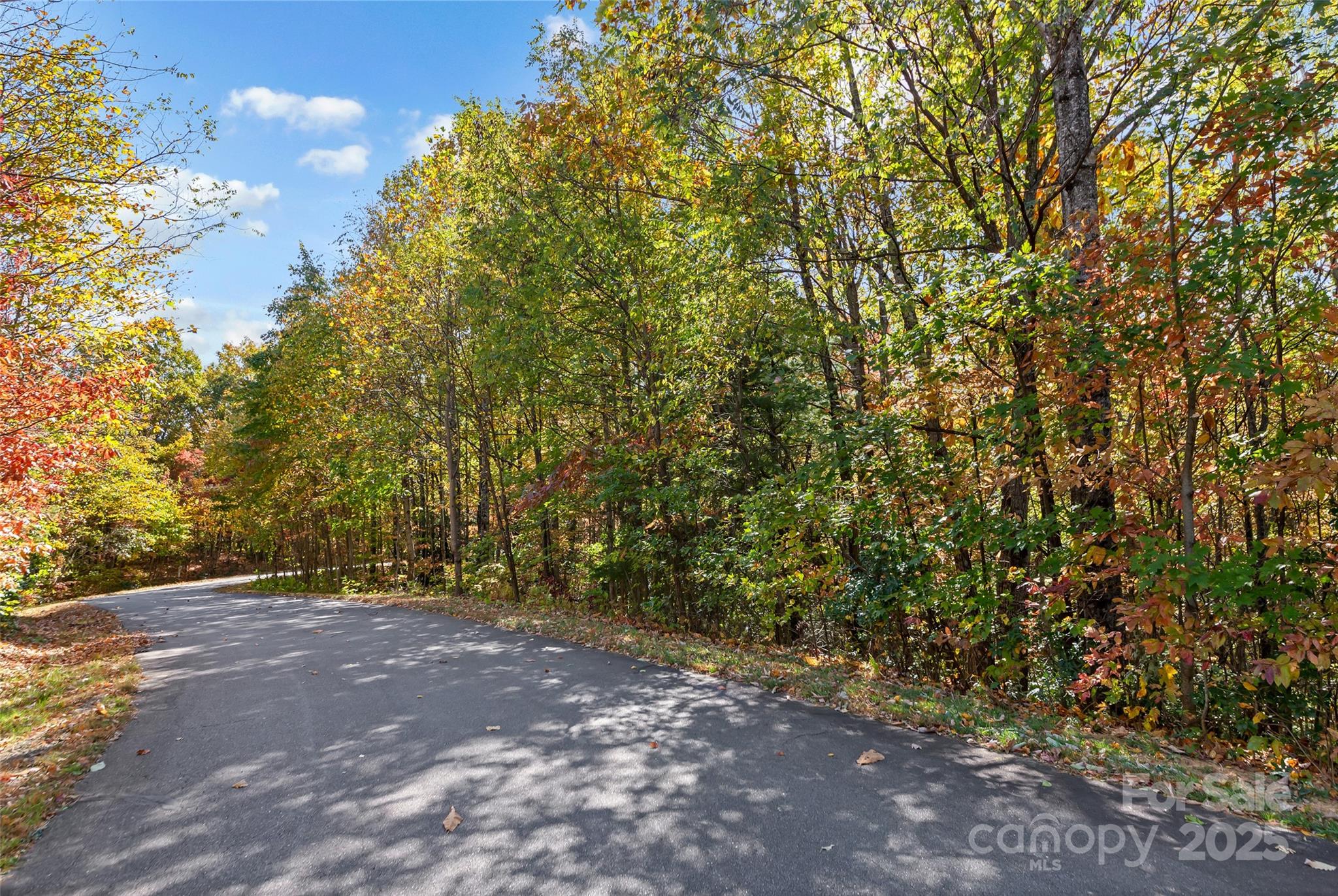 38 Attica Falls Trail Black Mountain NC 28711