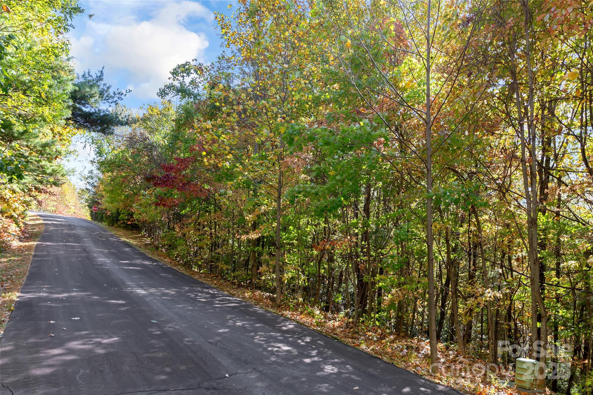 38 Attica Falls Trail Black Mountain NC 28711