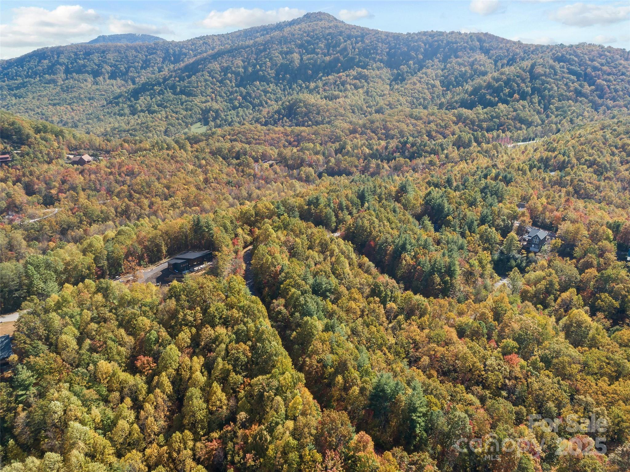 38 Attica Falls Trail Black Mountain NC 28711