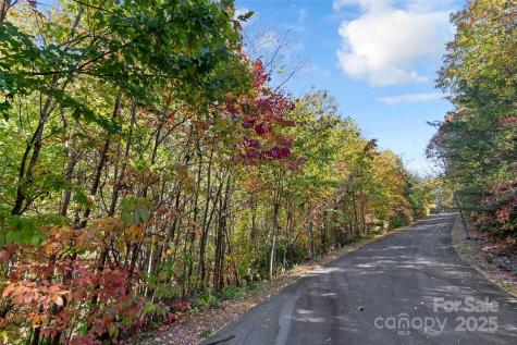 38 Attica Falls Trail Black Mountain NC 28711