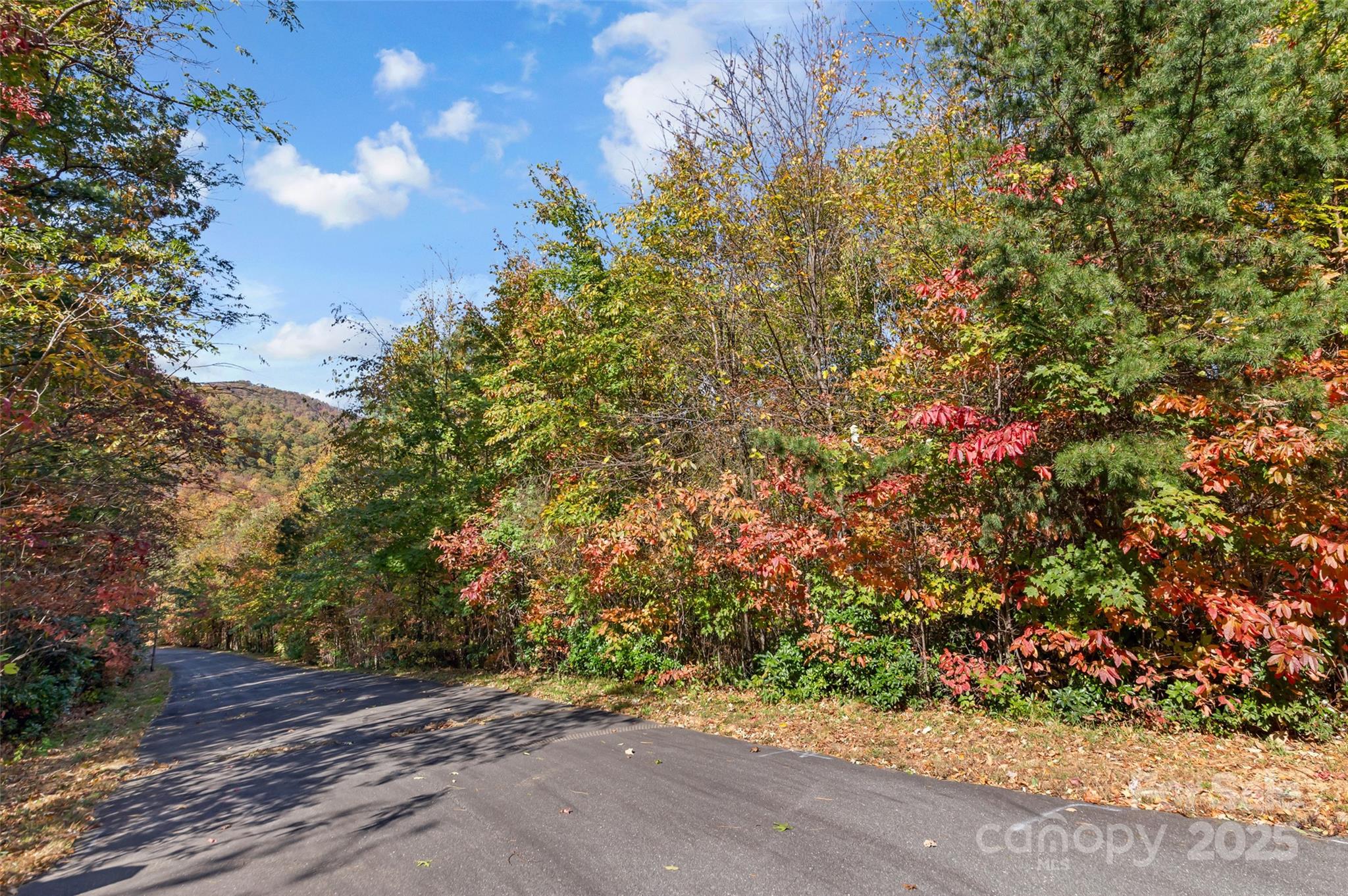 38 Attica Falls Trail Black Mountain NC 28711