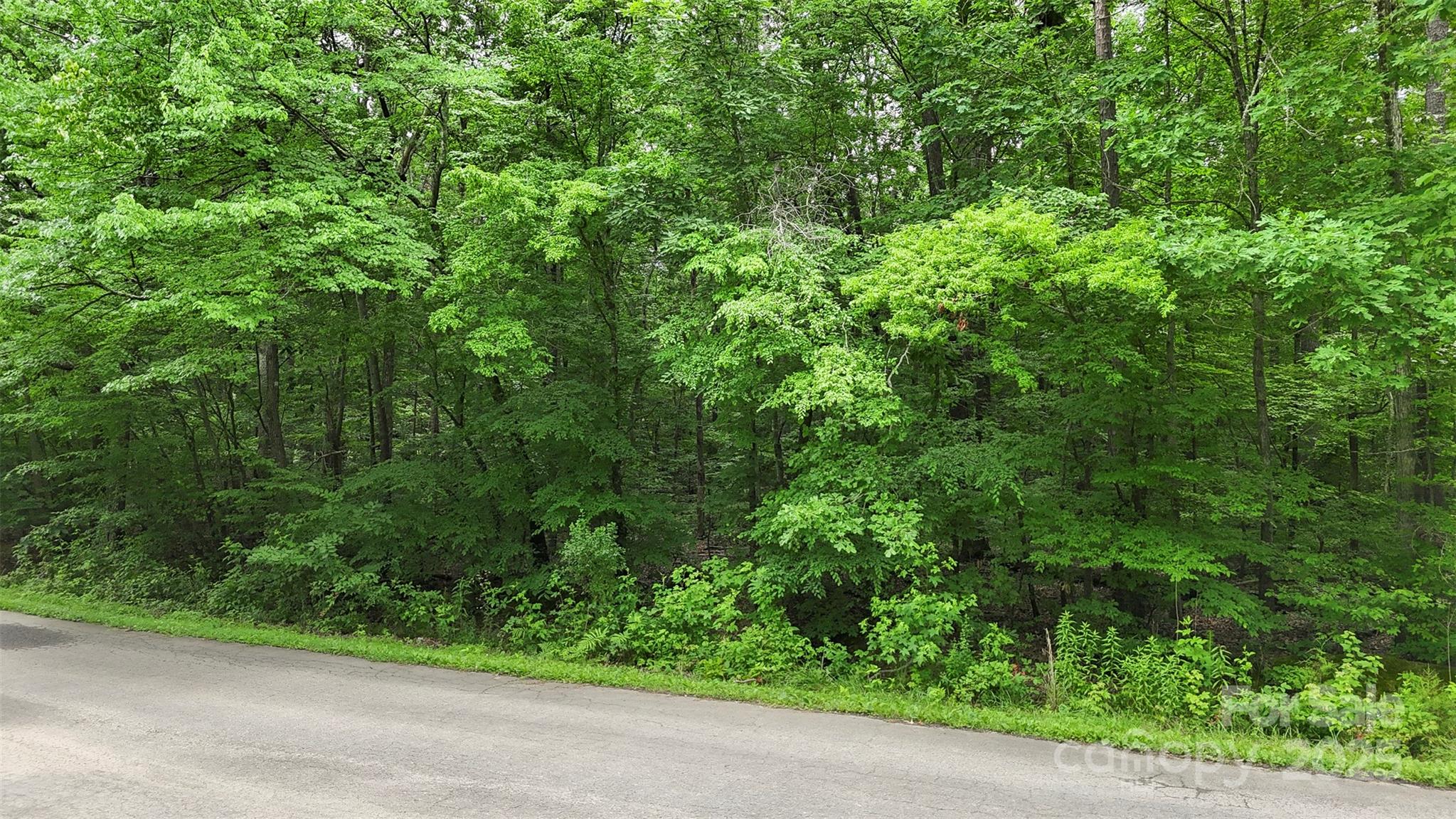 #24 Moser Circle Indian Trail NC 28079