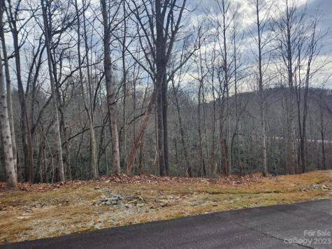 145 Ivywood Lane Laurel Park NC 28739