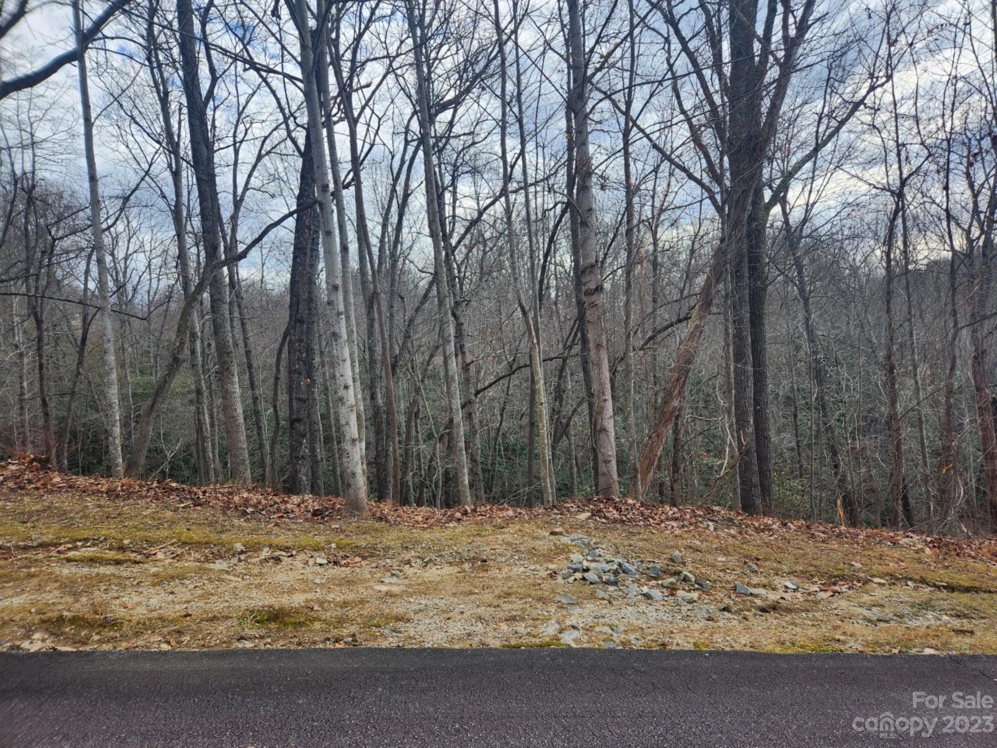 145 Ivywood Lane Laurel Park NC 28739