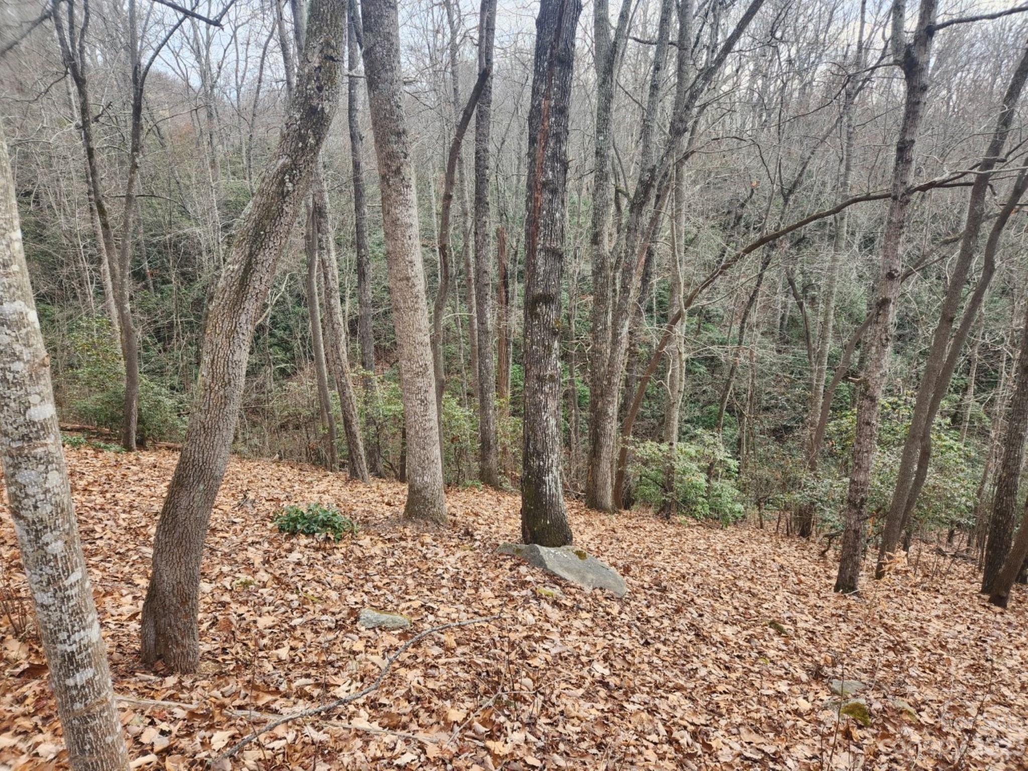 145 Ivywood Lane Laurel Park NC 28739