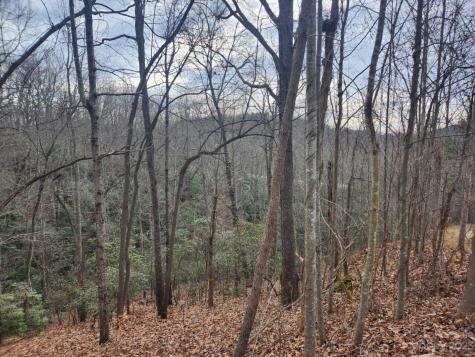 145 Ivywood Lane Laurel Park NC 28739