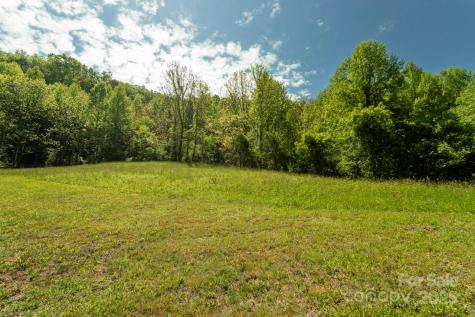 Off Of Locust Creek Road Sylva NC 28779