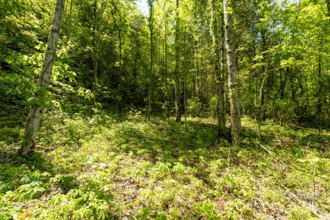 Off Of Locust Creek Road Sylva NC 28779