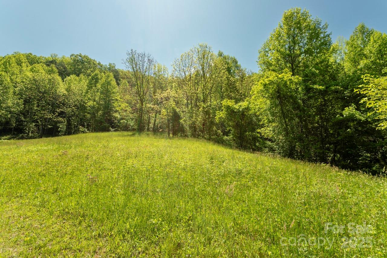 Off Of Locust Creek Road Sylva NC 28779