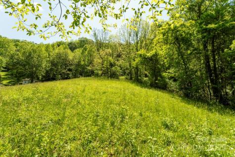 Off Of Locust Creek Road Sylva NC 28779