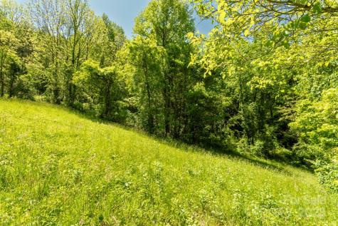 Off Of Locust Creek Road Sylva NC 28779