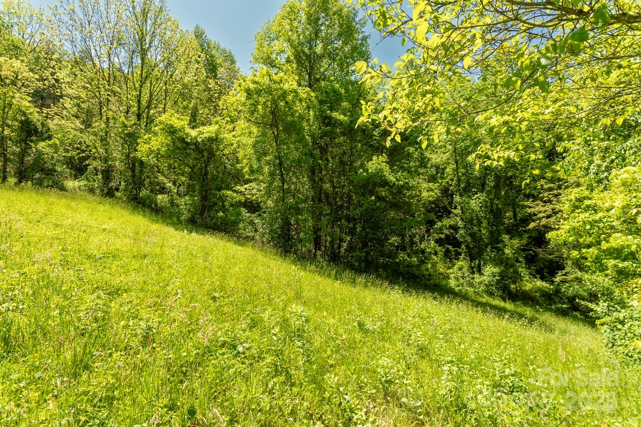Off Of Locust Creek Road Sylva NC 28779